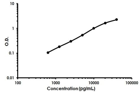 Human ADAMTS4 ELISA Kit (ab213753) 